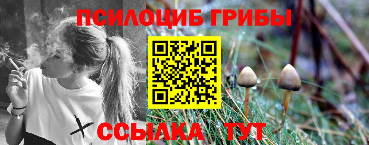 Феодосия  Галлюциногенные грибы GOLDEN TEACHER  Вход с VPN 